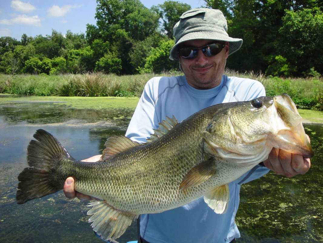 Colorado River Fly Fishing Guide Near Austin Tx Bass Guides